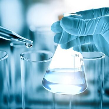 steptodown.com873750 1